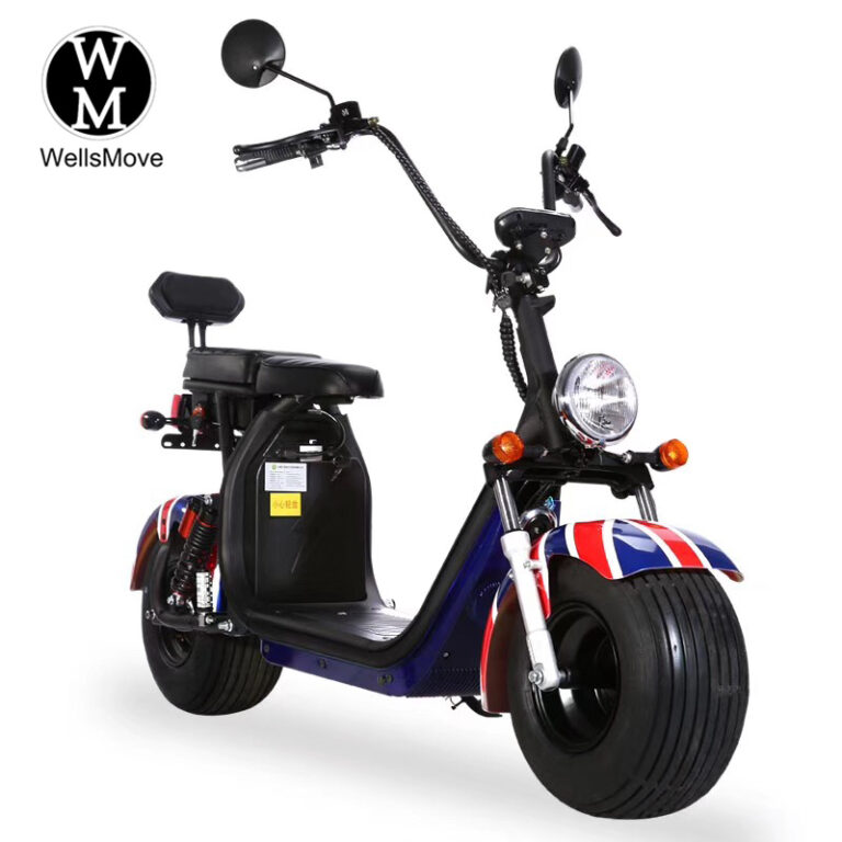 8 inch citycoco scooter