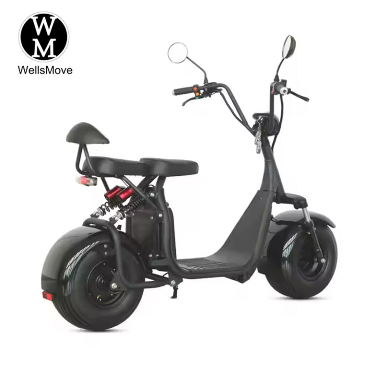 1500w citycoco brazil