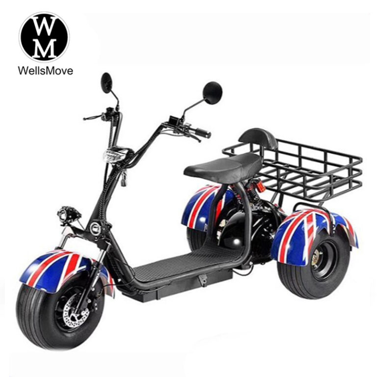 CT001 3 wheel citycoco