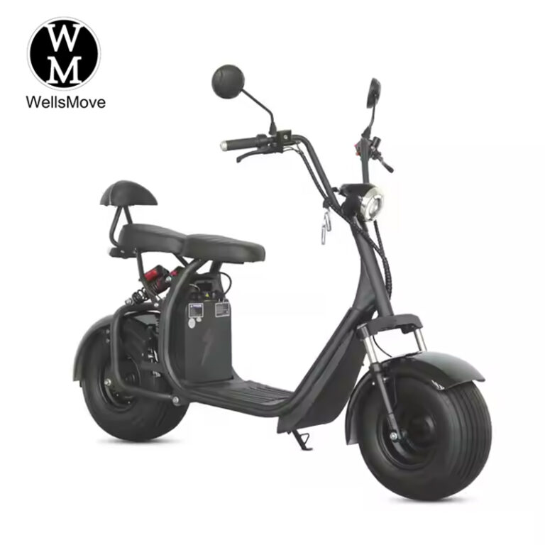 citycoco 1500w brazil